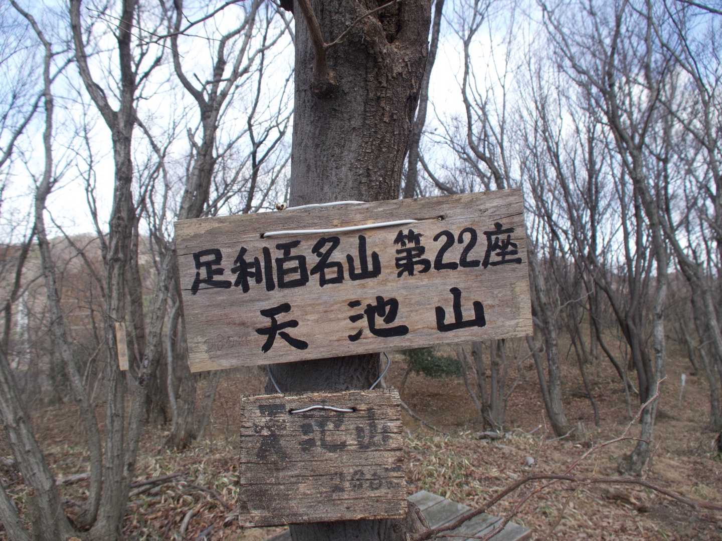 間もなくすると⛰天池山
