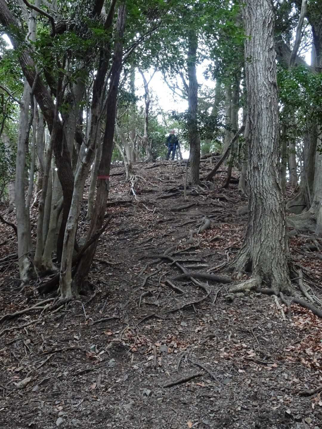 私が遊んでると、夫が
仁王立ちで待ってる😁