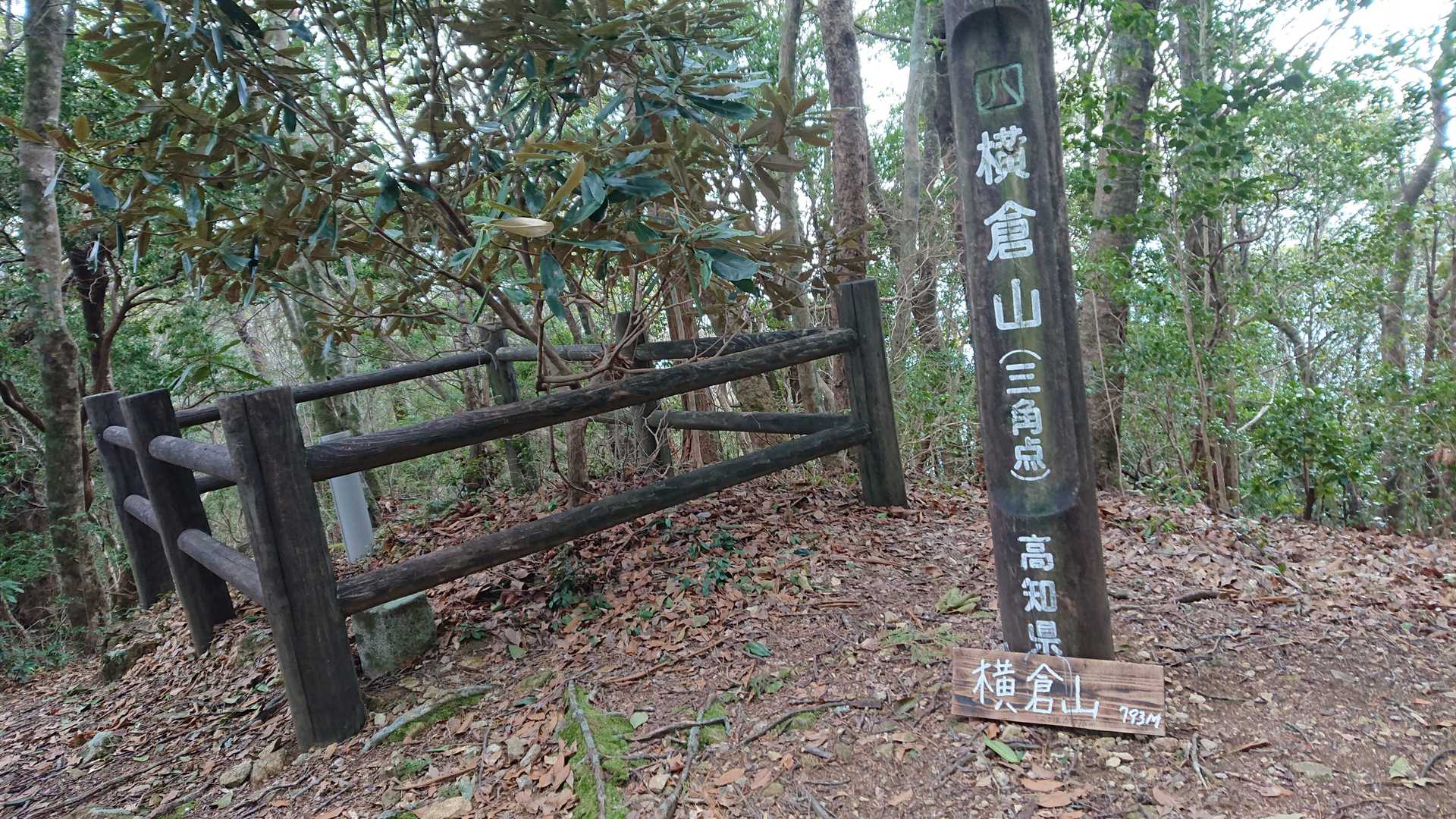 横倉山と三角点に到着♪
 ヤマップ100座目でした！