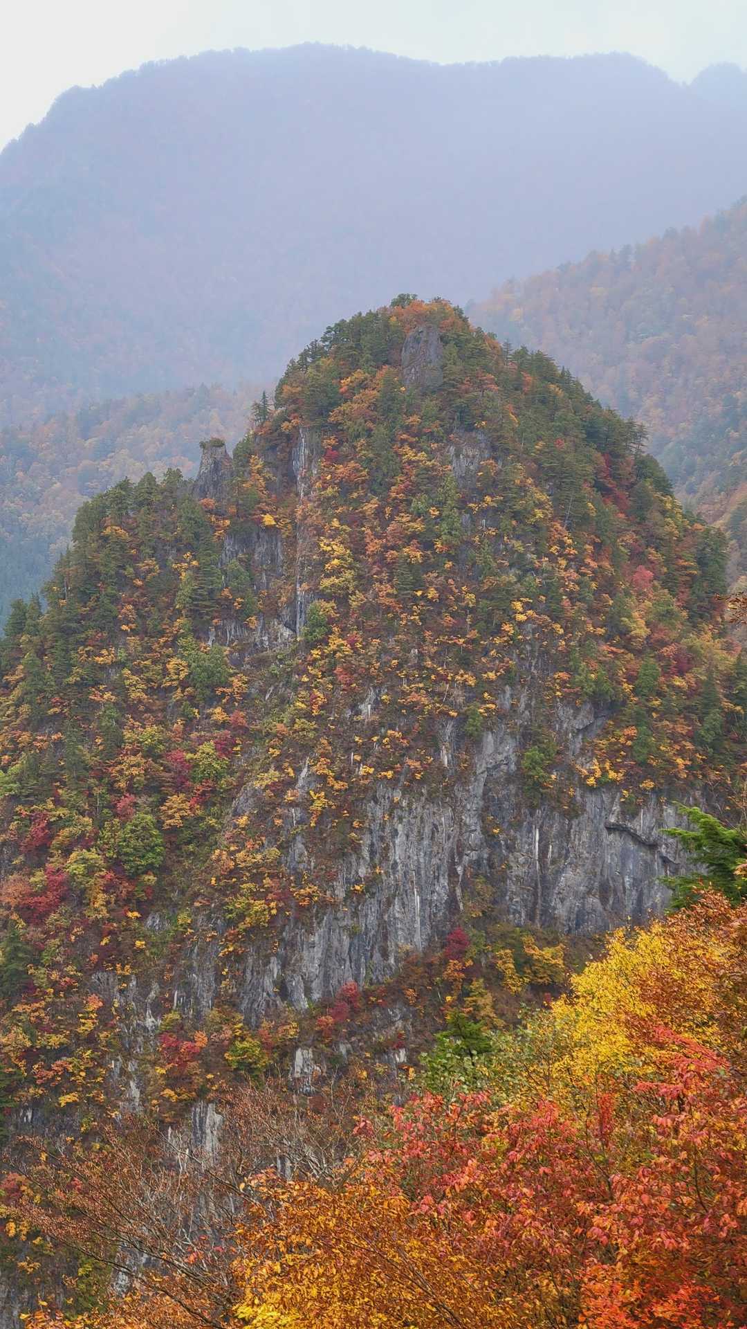 西鐘釣山の写真