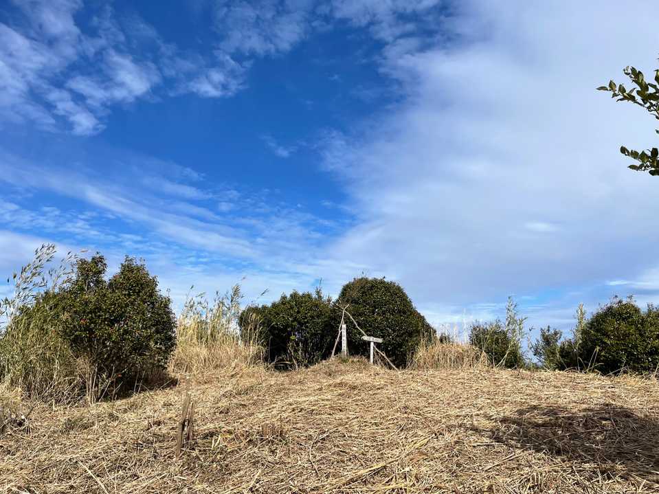 お～っ，1週間前より広くなっている気がする😱👍