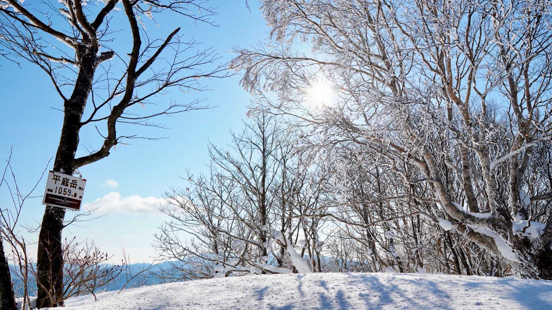 眩しいなっ
