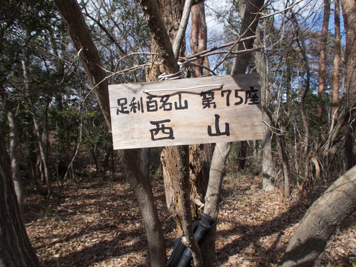 そして遂にラスト⛰西山迄一緒に登頂！
一緒に歩いた距離約2㌔！😄