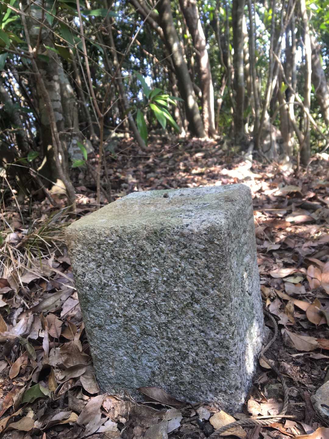 時間かかったわぁ...( ´Д`)ノ
眺望望めない泊山山頂でした
今日も素直にピストンします🤣