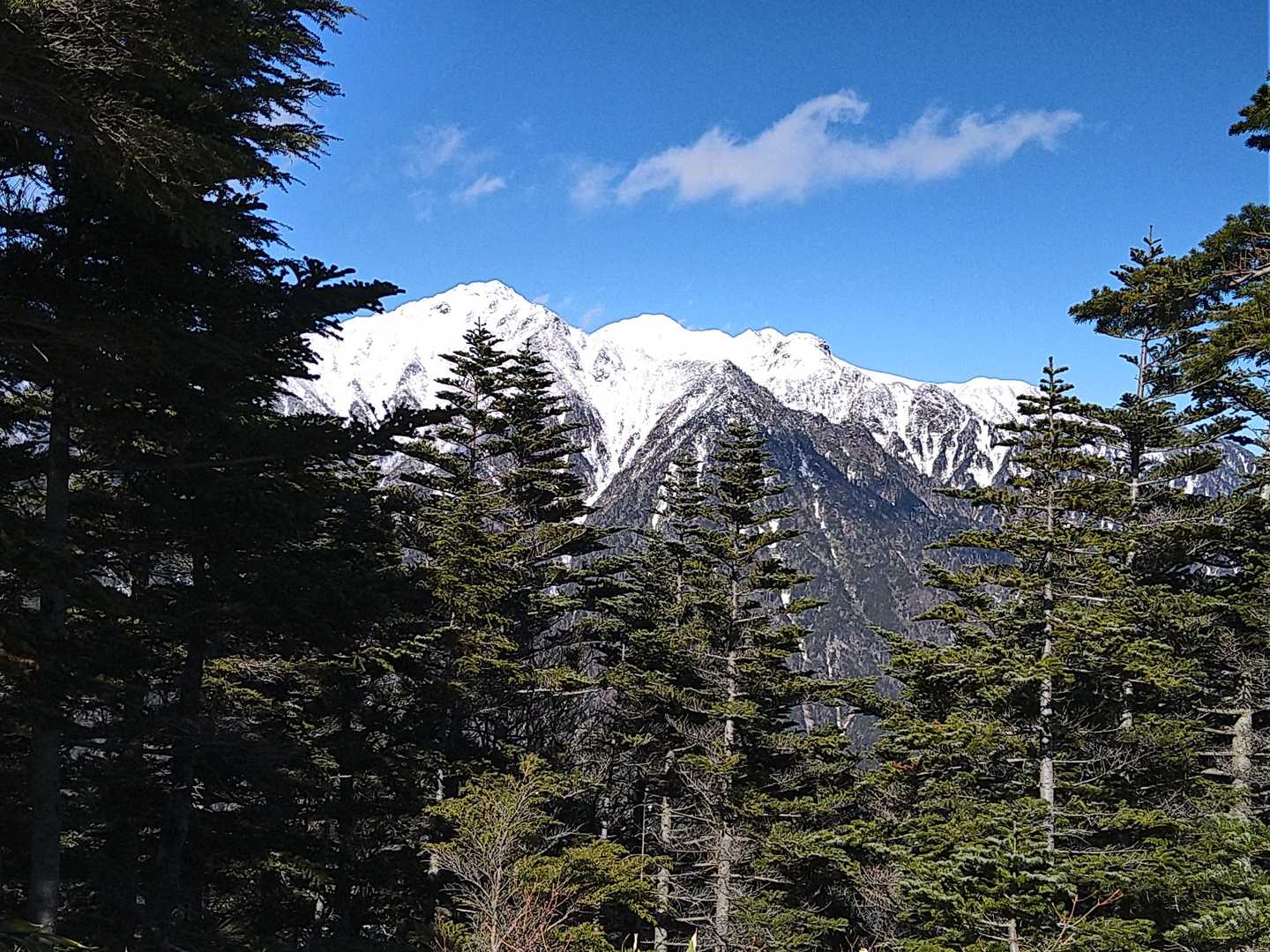 池ノ平山まで戻ってきたよー
