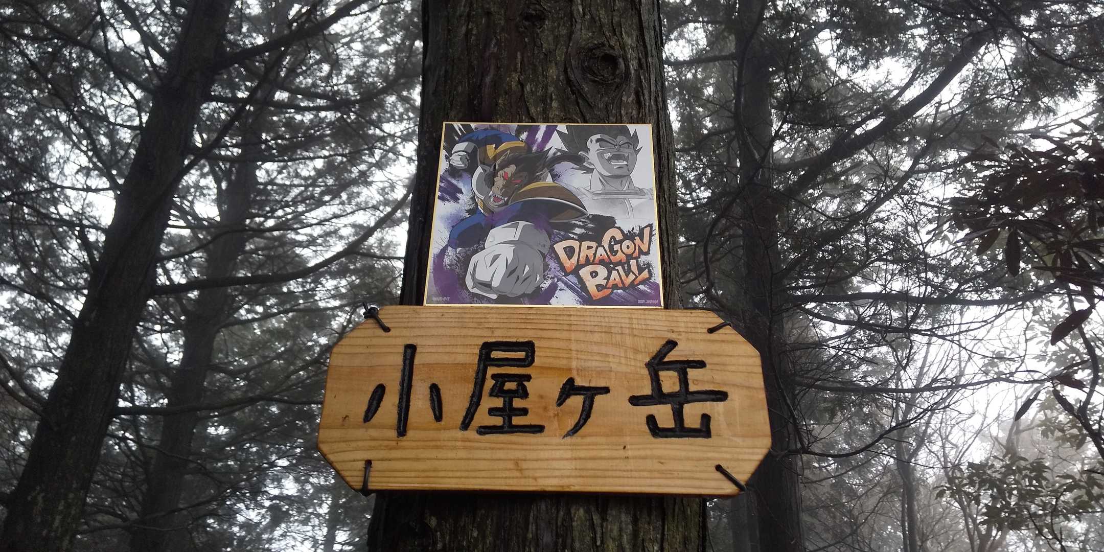 小屋ヶ岳  ピークハント‼️

「轟け❗️我が名。」にふさわしき画像に仕立てる。