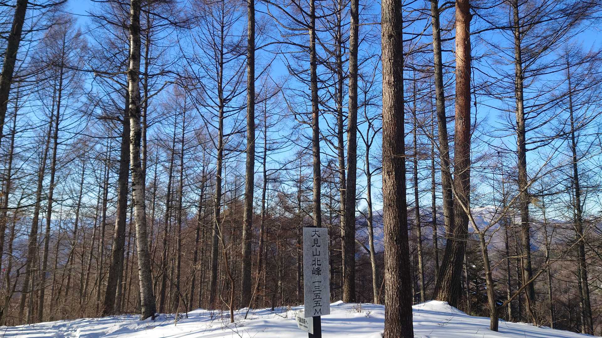 大見山北峰。展望なし。
移動し