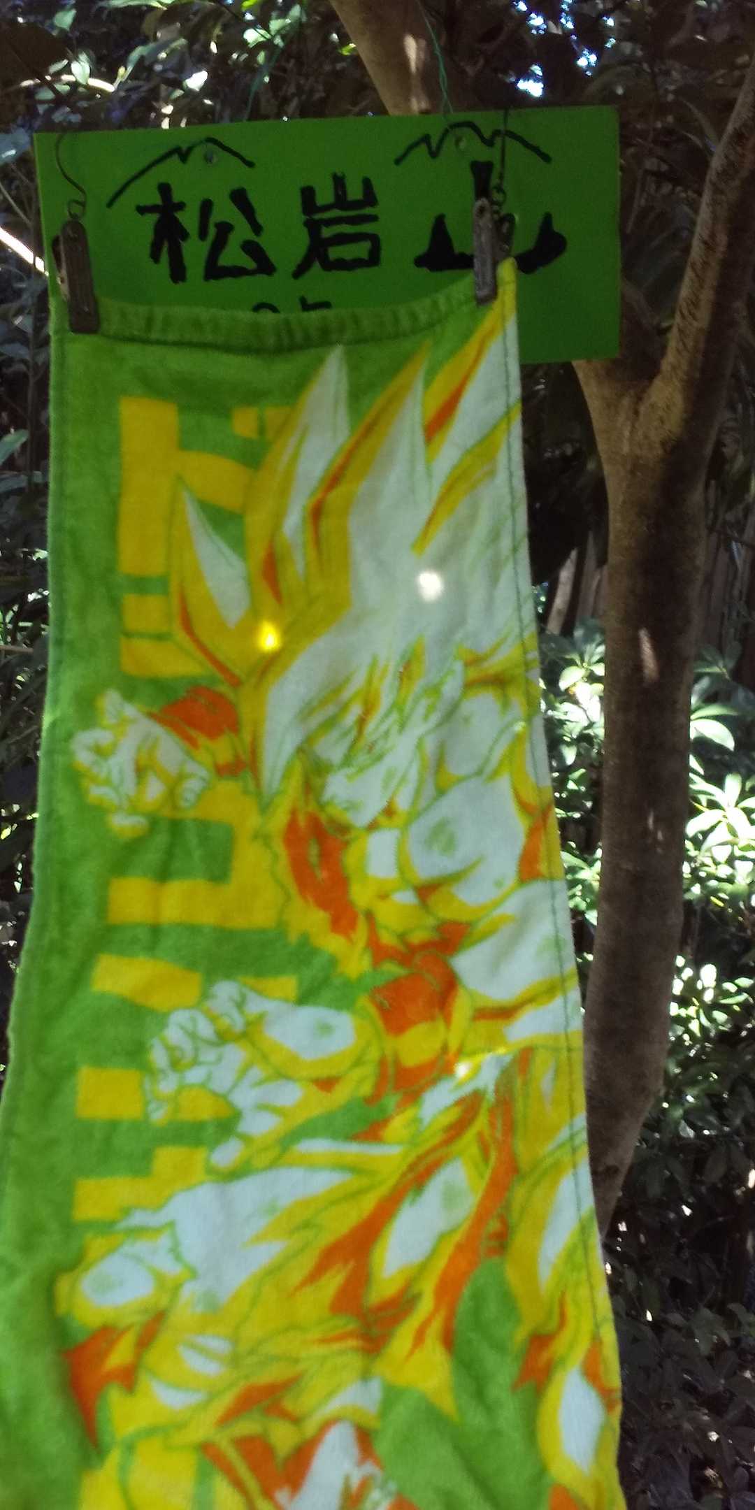 松岩山 ピークハント‼️

これで、許斐山エリアは全部登頂したので、地図削除だ😁
スマホ容量が無駄に増えてるしね…。
