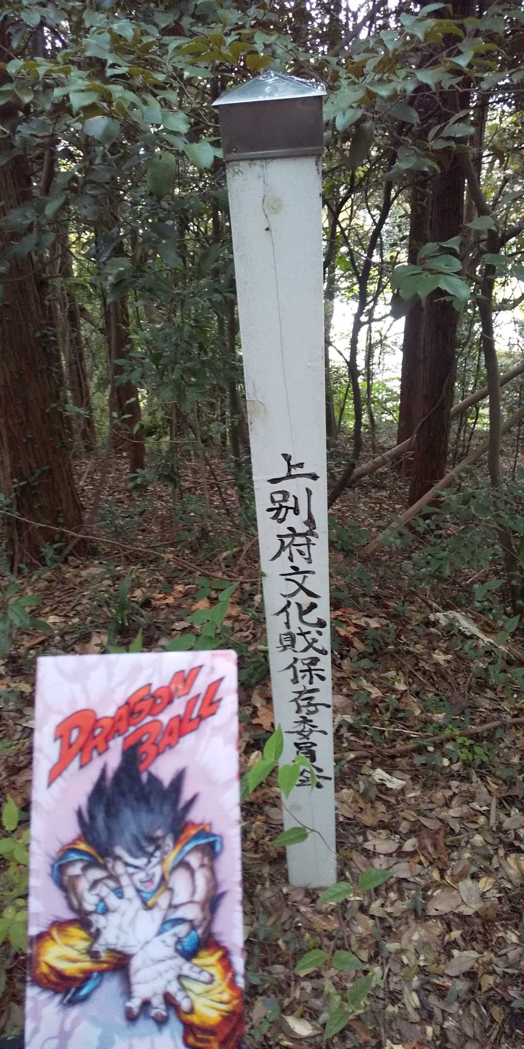 上別府文化財保存委員会…

せめて、林道近くに案内板だけでも立ててくれ…。
