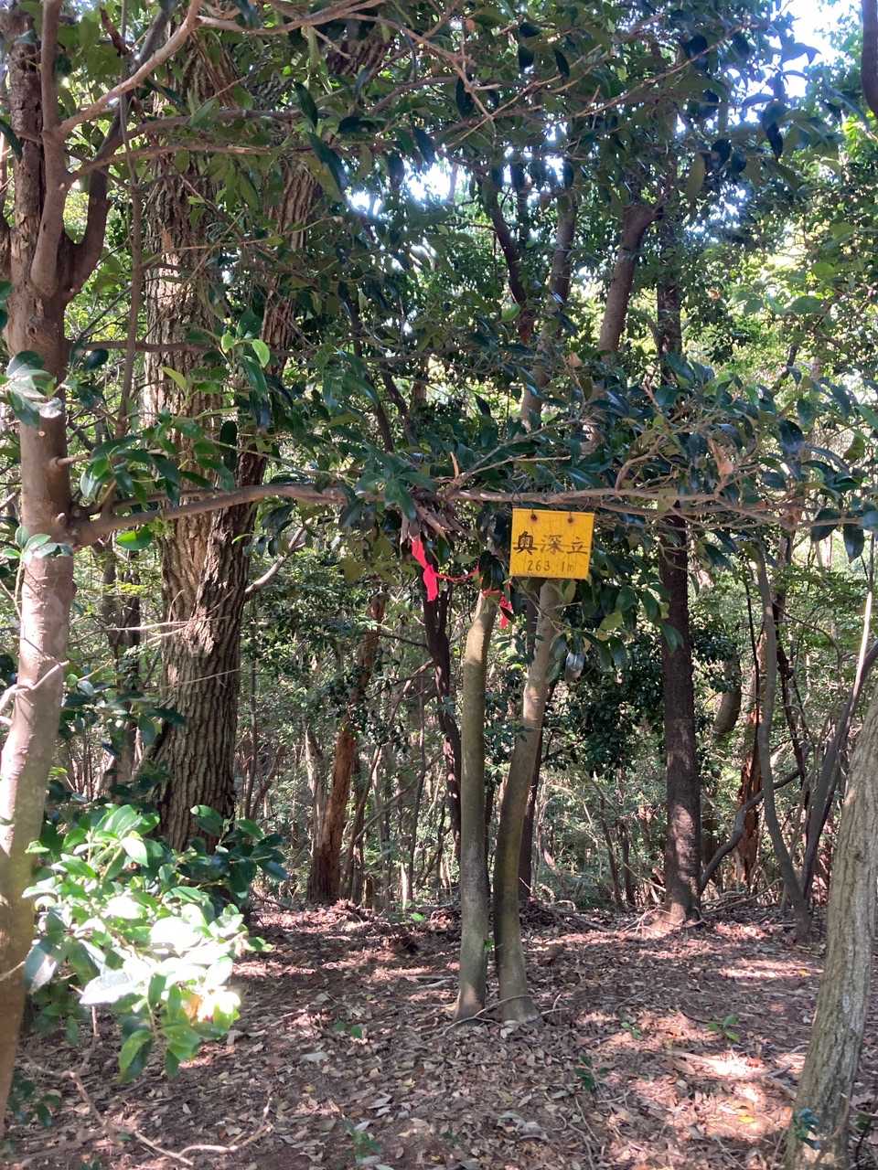 奥深立山山頂