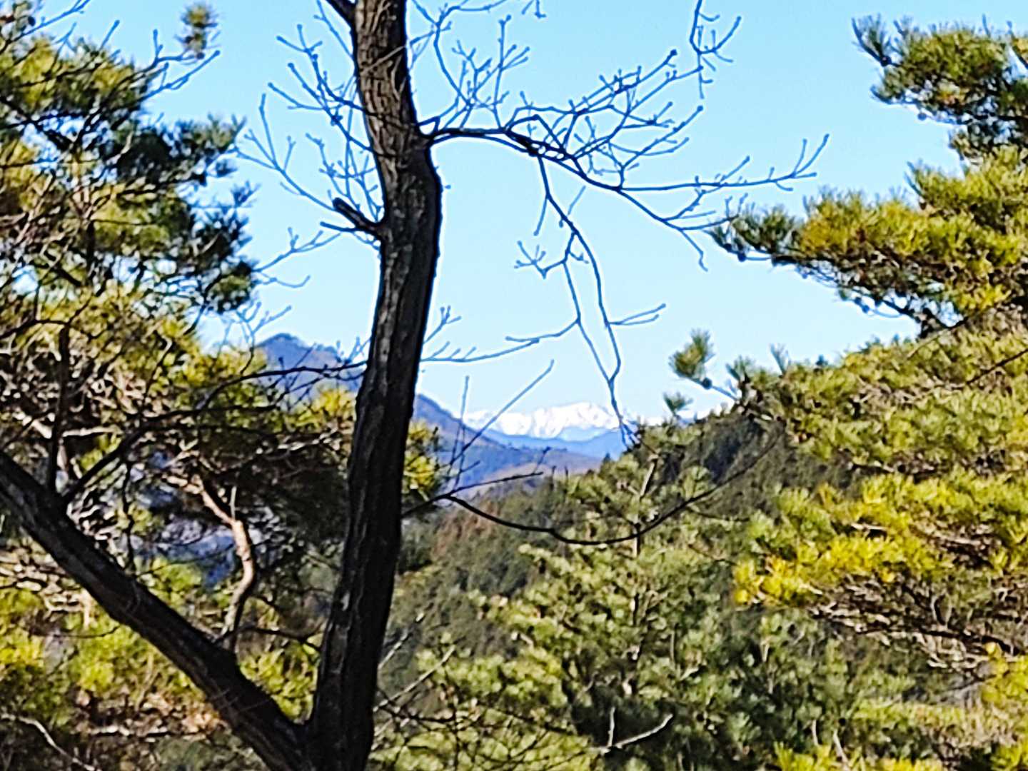 南アルプス…チラ見え