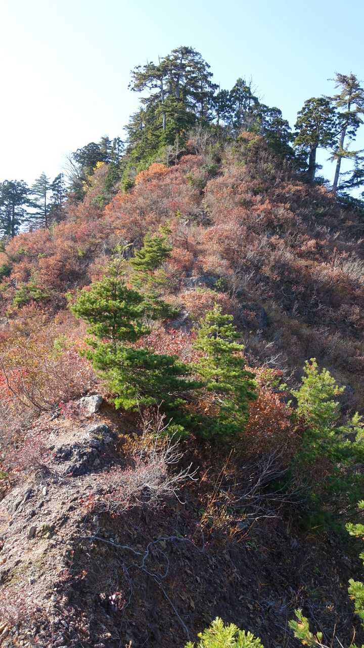 井戸小屋までの道も楽しい。
