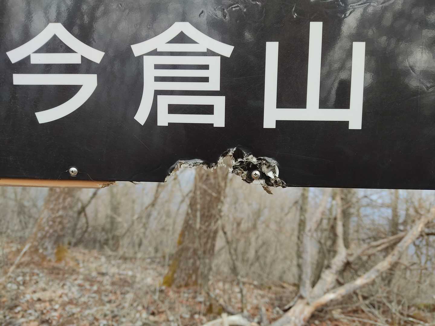 この道標がかじられてるんだよね😯誰が？