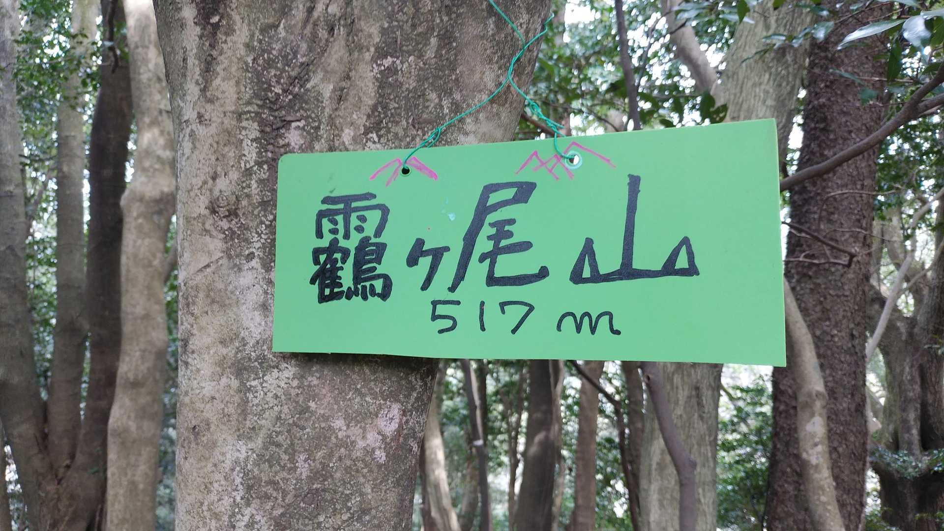 はい、次のピークに着きました、ここも展望無し！
なんて日だ！(小峠風に）笑