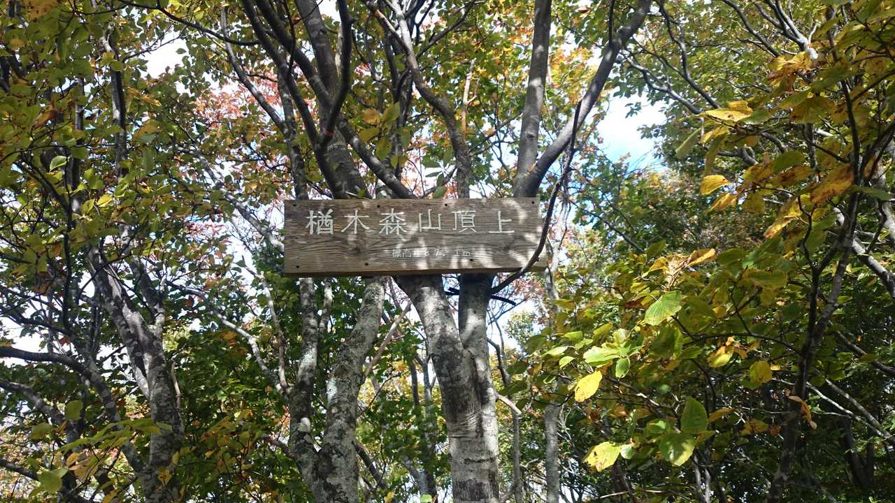 楢木森山山頂