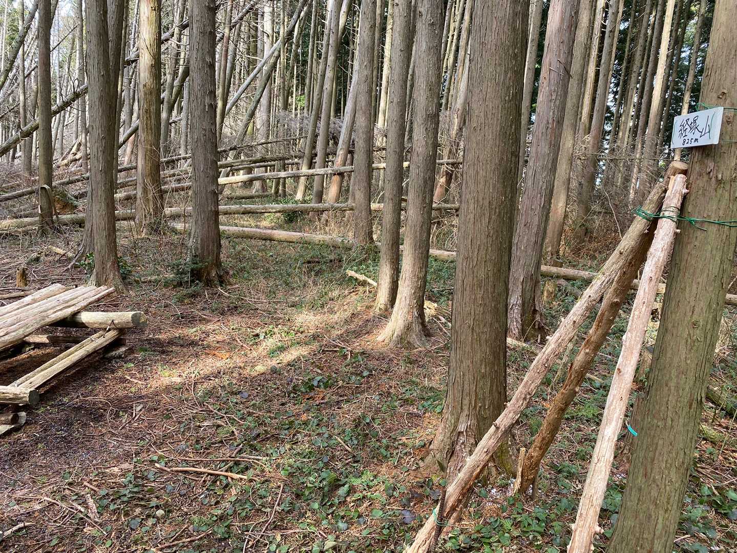 経塚山に到着。
ベンチはありますが、この先は封鎖されてるのかと思うほどの倒木。ここが目的地なので早速下山します。