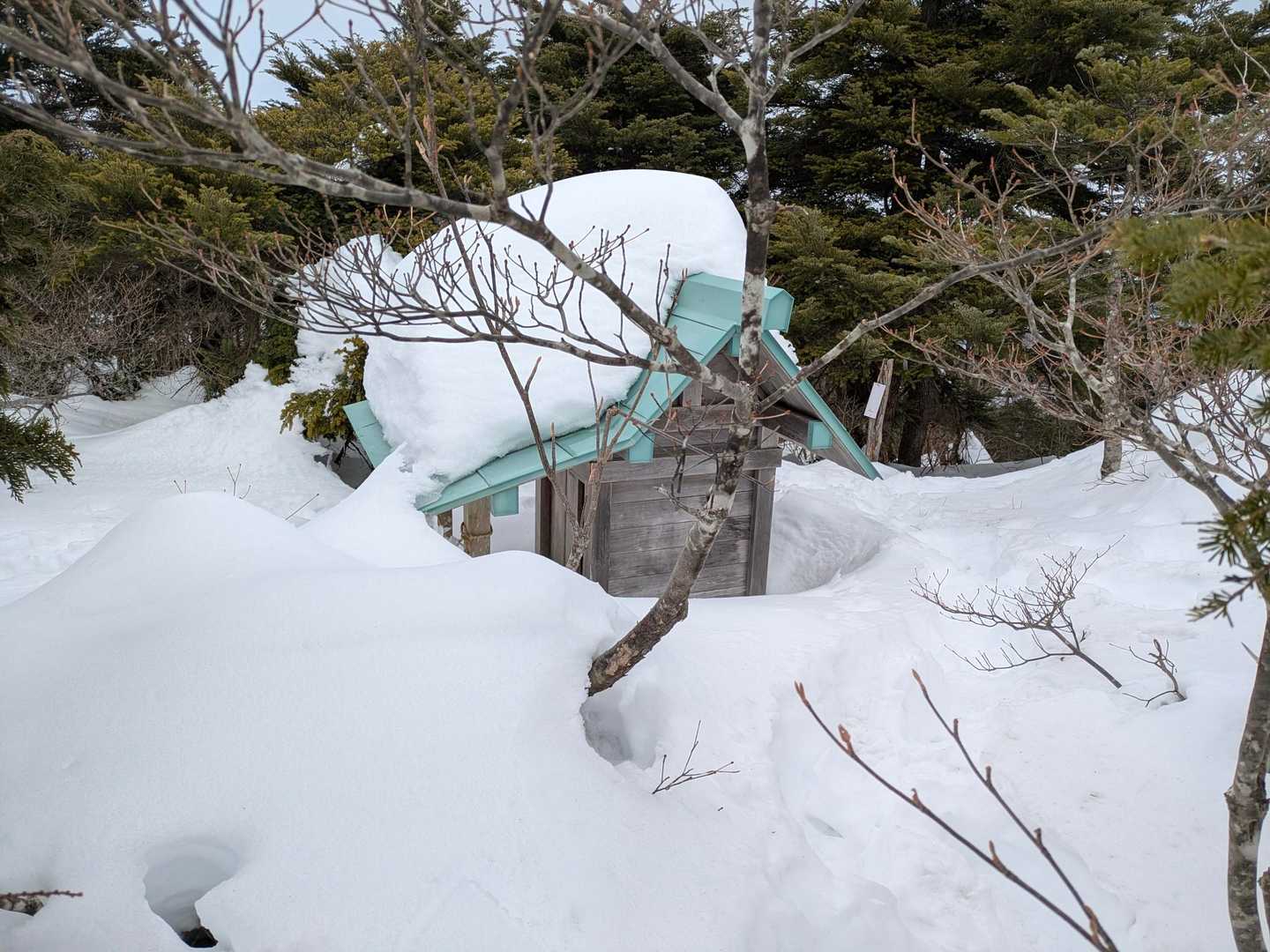恵那山⛄️ / oka_nobさんの恵那山・大判山・神坂山の活動データ