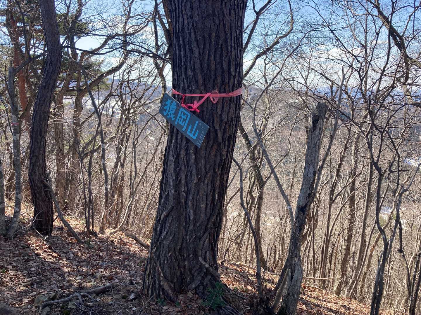猿岡山⛰山頂到着‼️ウッキー🐵 《四座目》
『ゲッツ👇』(ダンディ坂野)