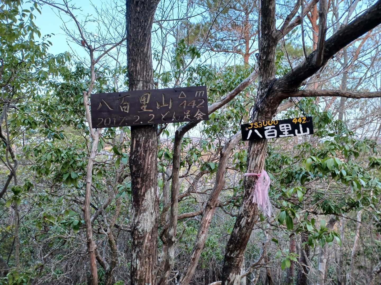 八百里山の写真