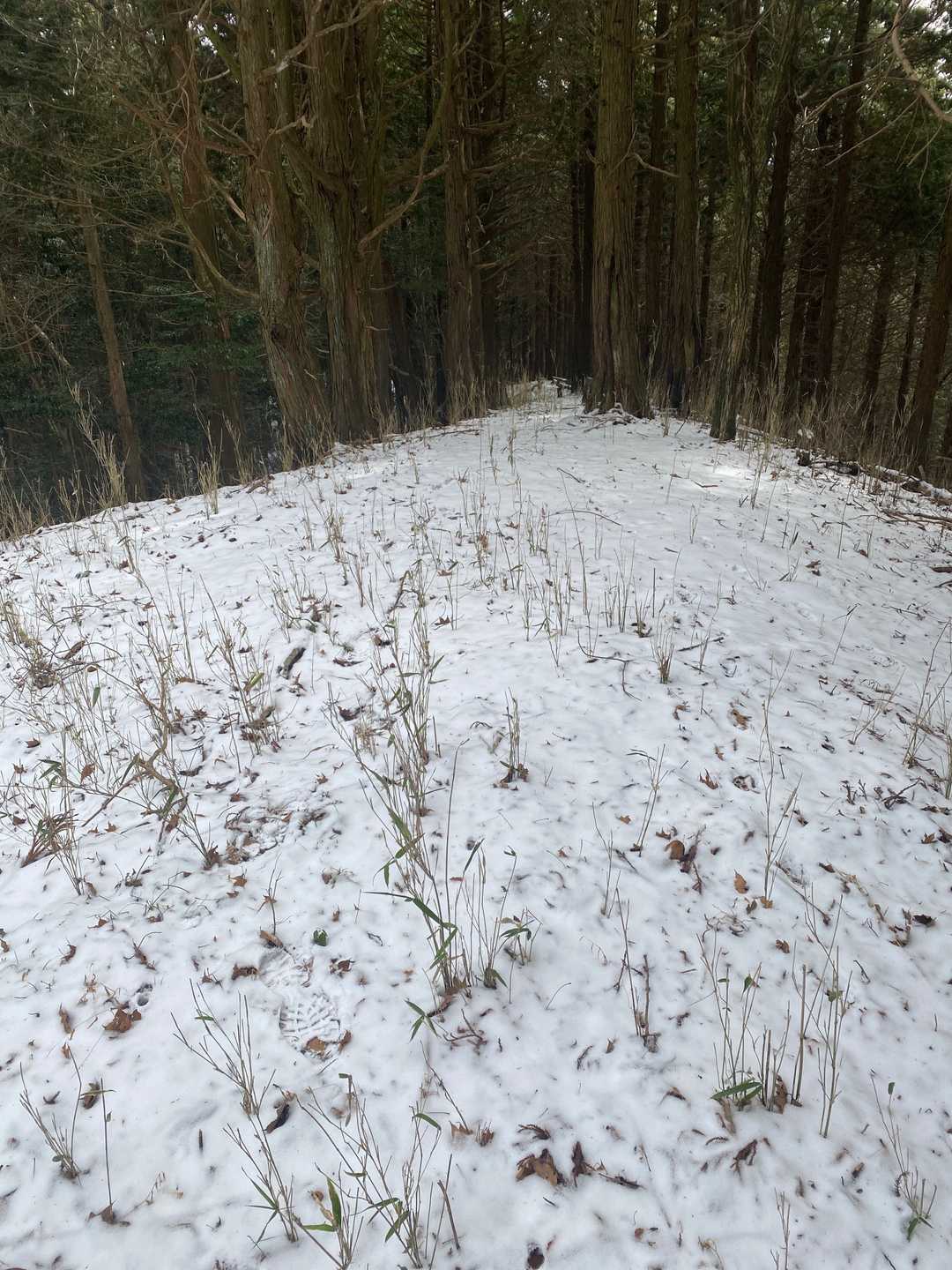 尾根