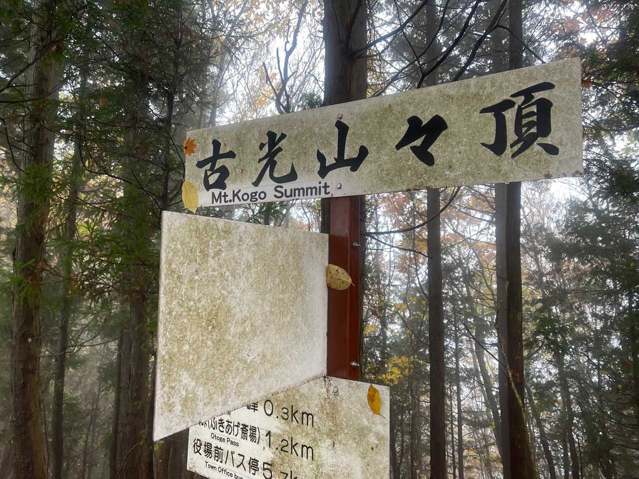 古光山とうちゃこー☝️😆