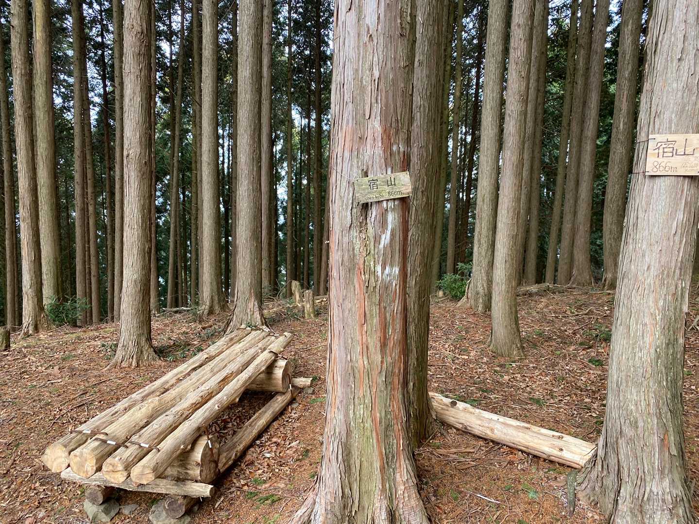灰色ピークの宿山に寄りました。
林の中、景色なし…😞。