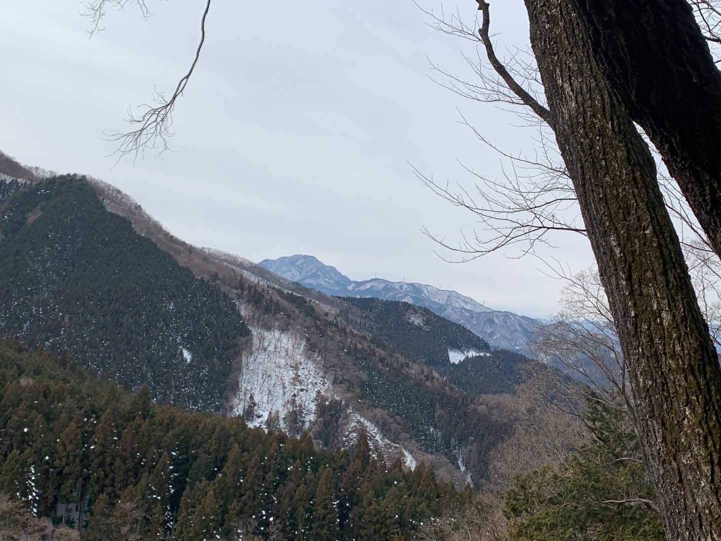 奥に稲含山がチラッと見えました⛰