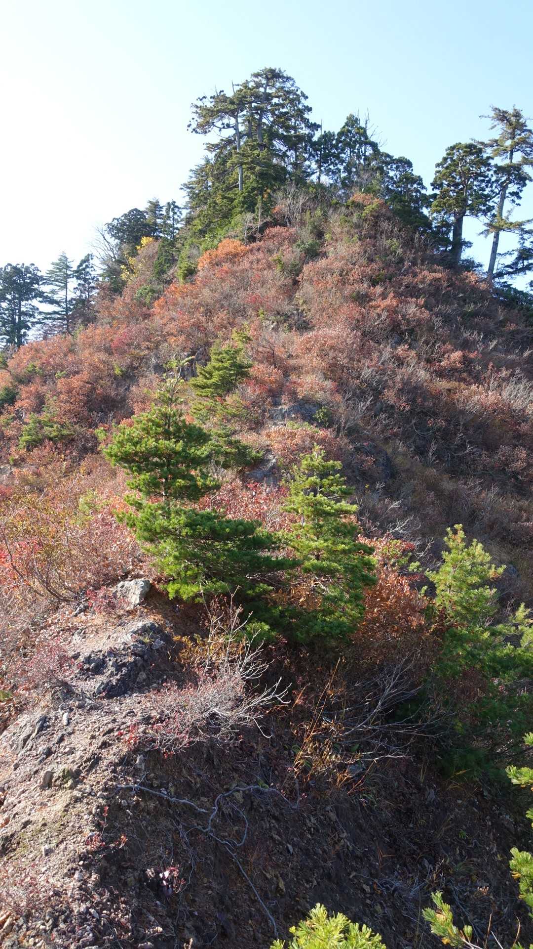 井戸小屋までの道も楽しい。