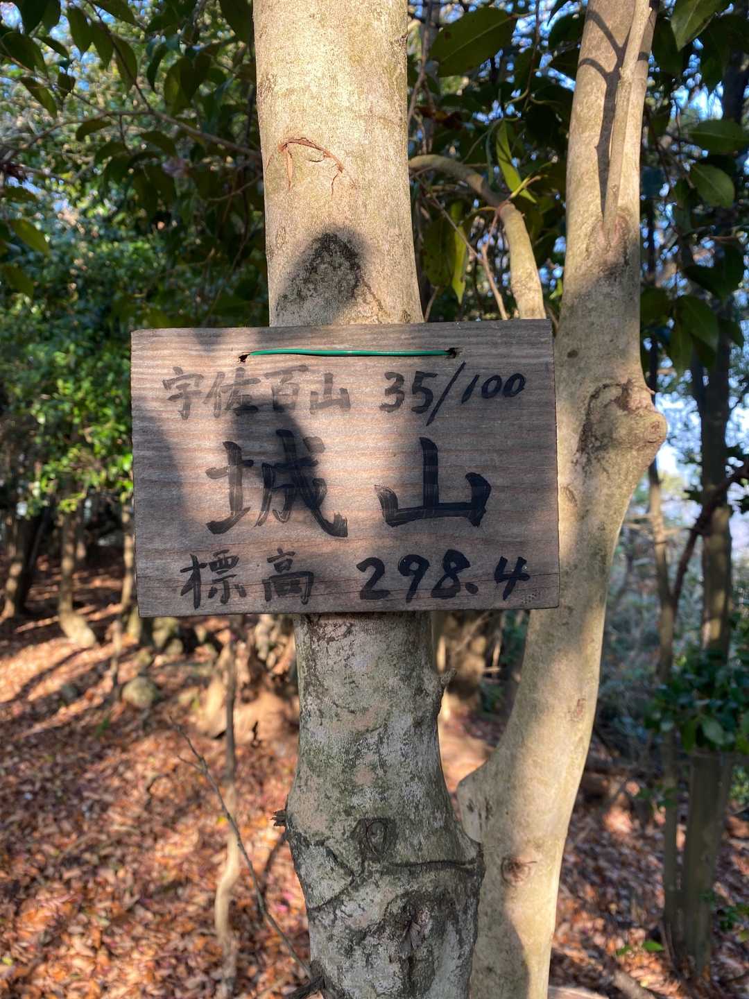 お決まり標識‼️