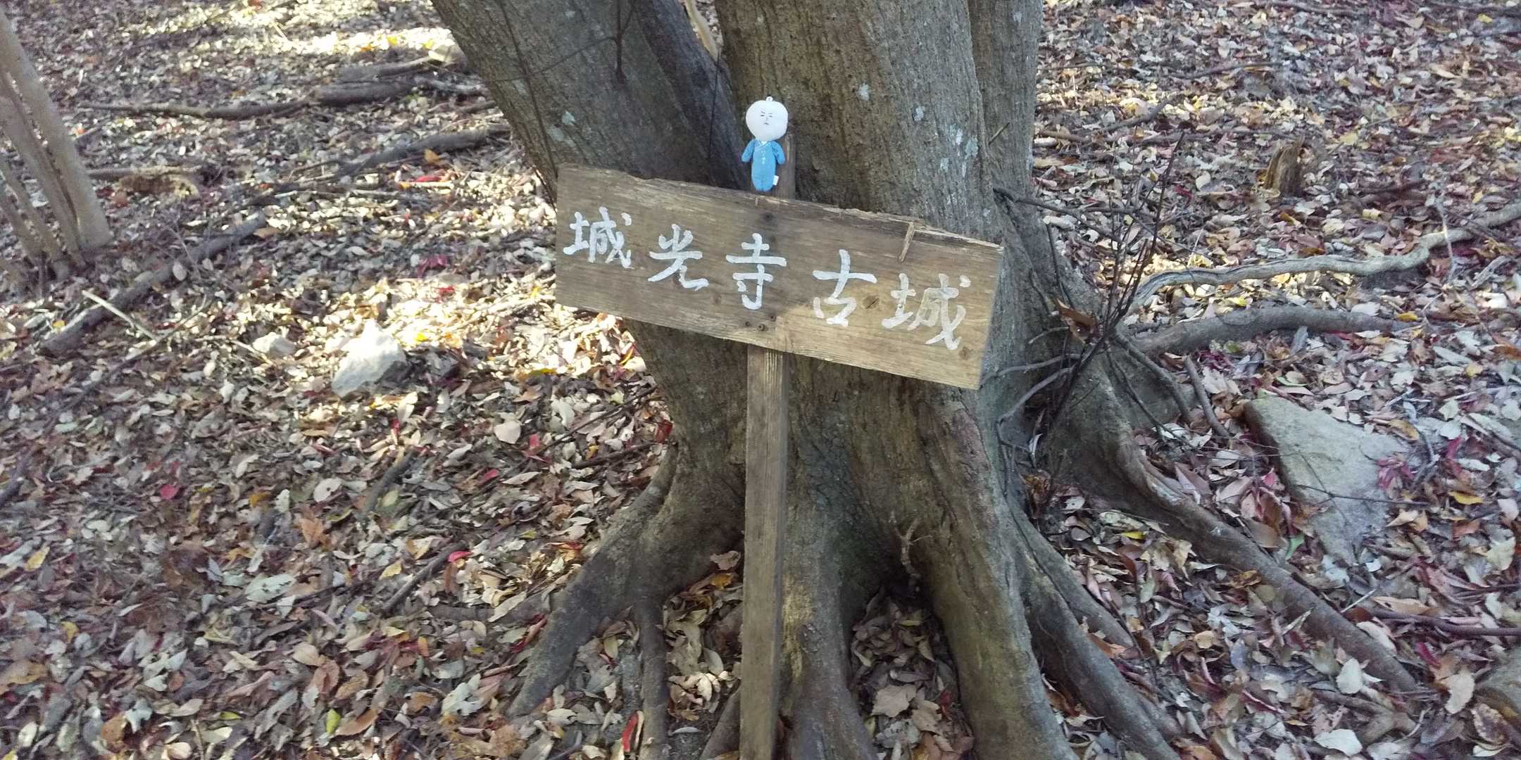 山頂。
城光寺山 ピークハント！