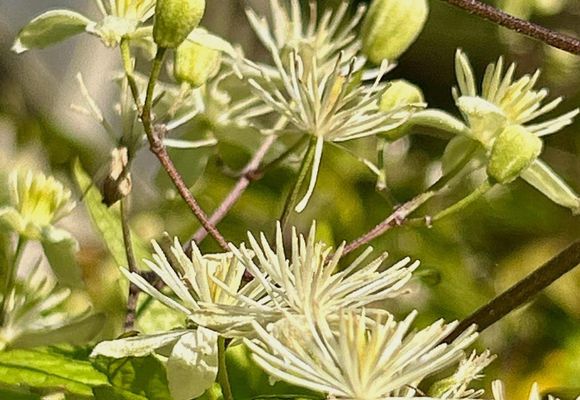 草戸山の最新登山情報 / 人気の登山ルート、写真、天気など | YAMAP