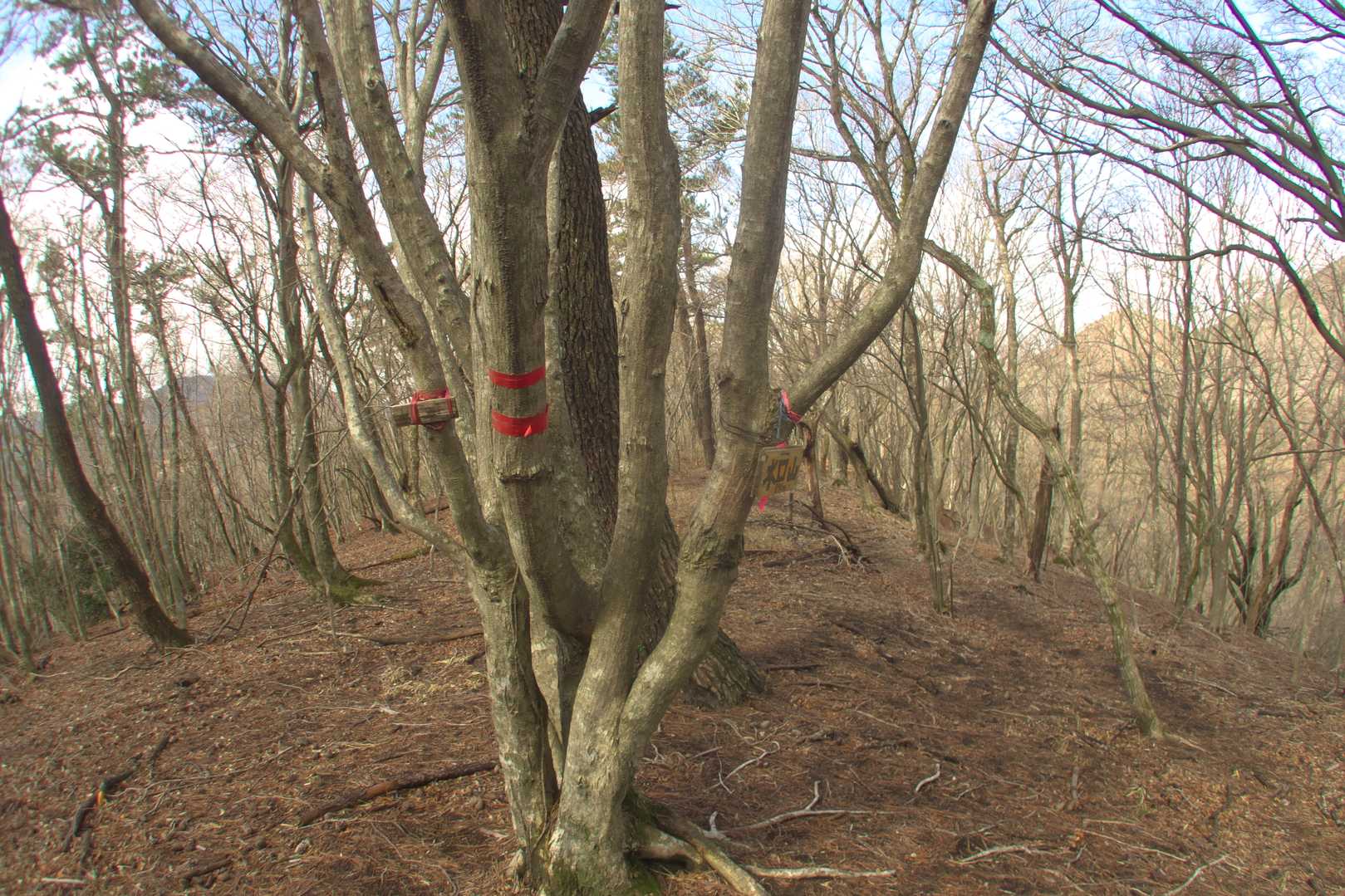 1座目「水口山」