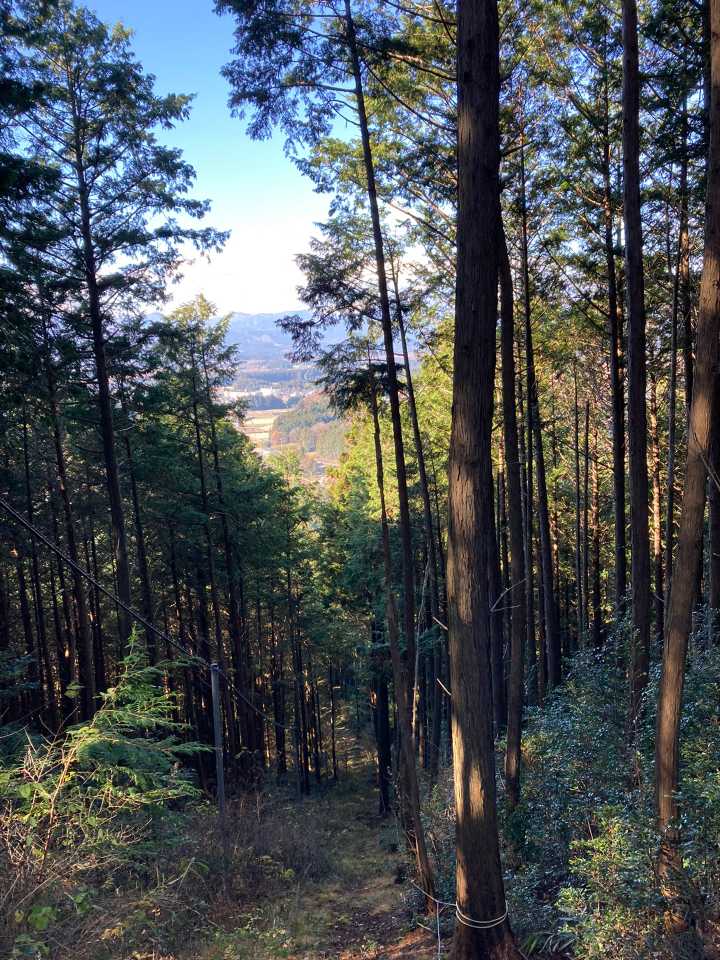 浅間山（栃木県日光市）の最新登山情報 / 人気の登山ルート、写真
