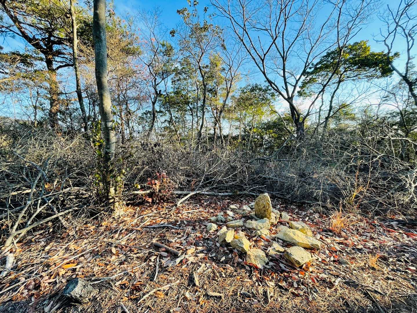 不老山（岡山県）の写真