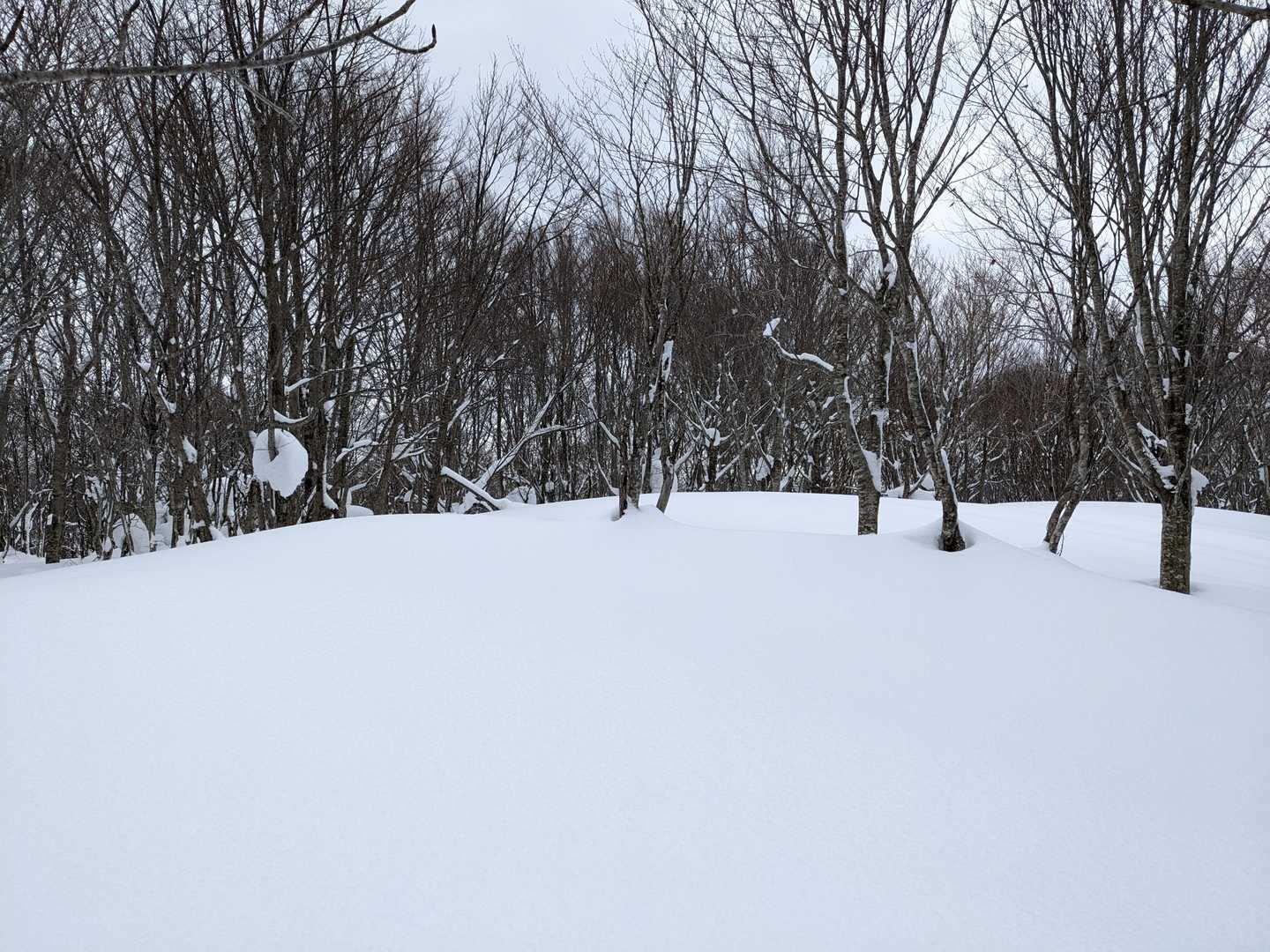 鍋割山山頂到着　プレート見当たらず雪隠れかな?