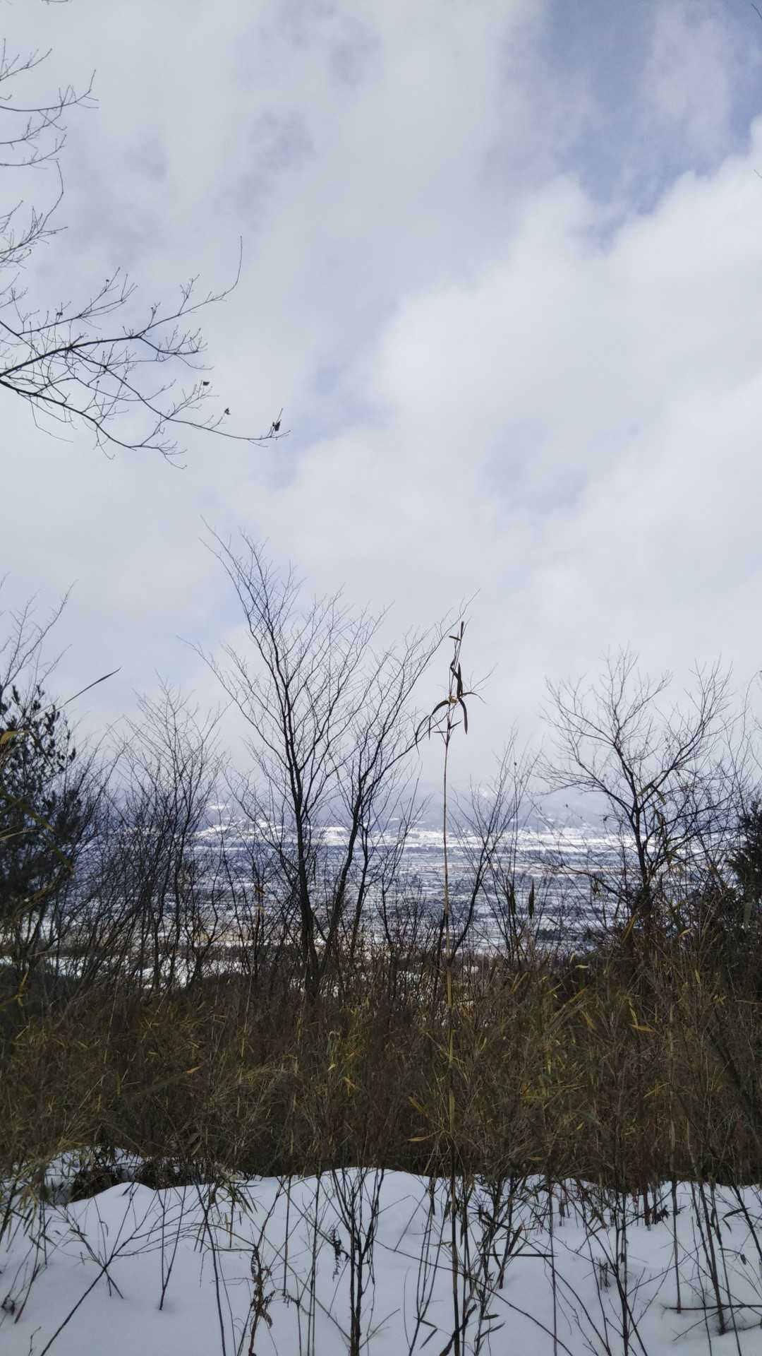 大館山（福島県）の写真