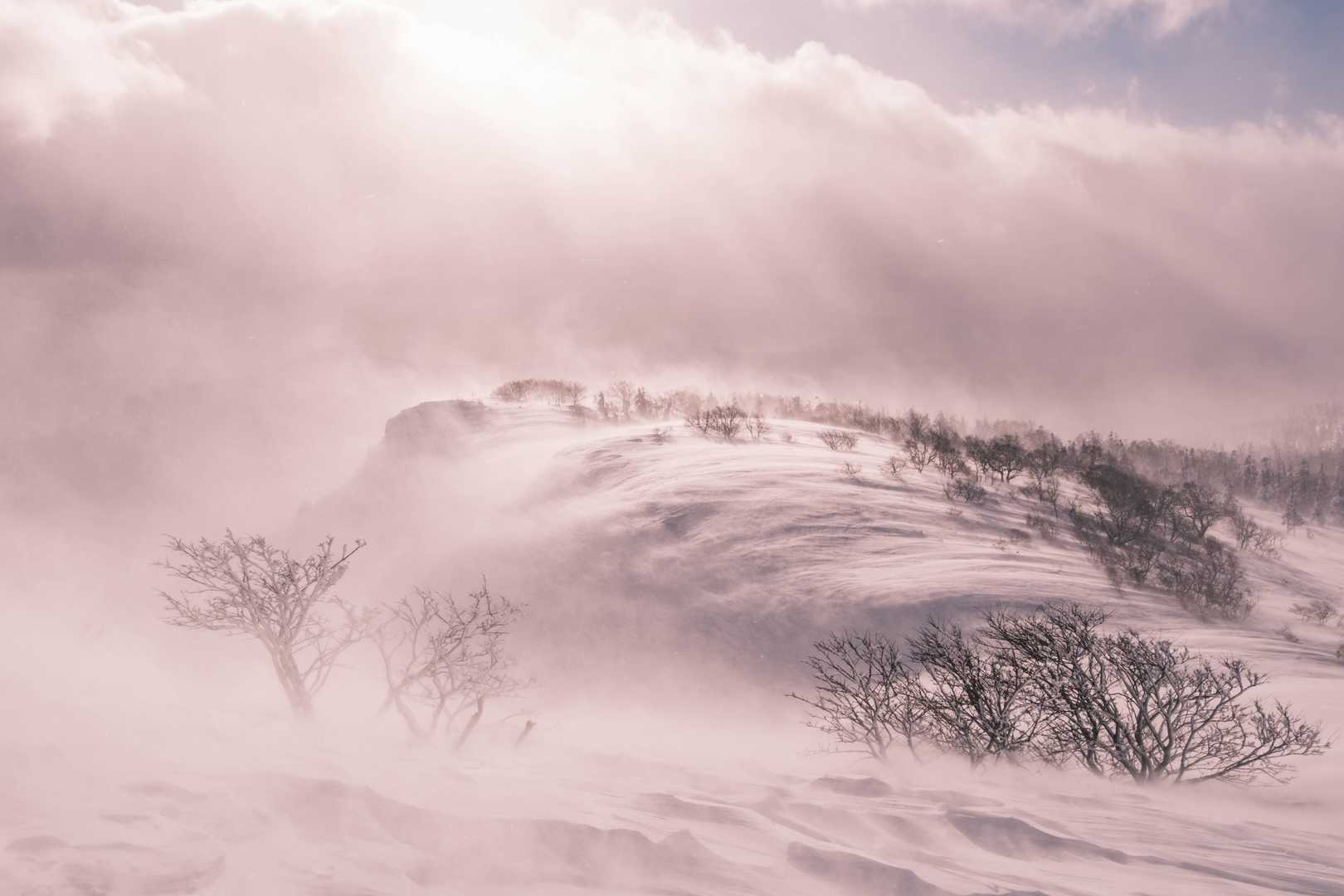 風が雪を運んで滝雲みたいになってましたよ💦