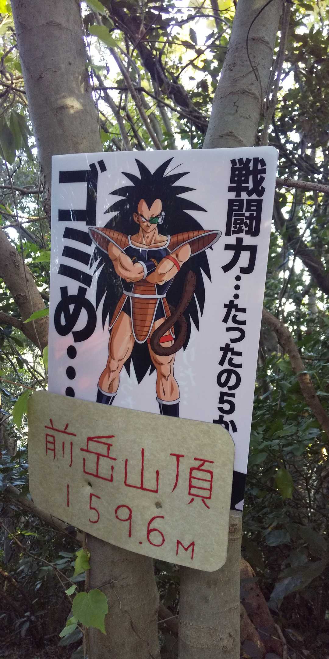 (;´Д`)ﾊｧﾊｧ…四等三角点。

(;´Д`)ﾊｧﾊｧ…No.403しか読めず。

前岳ﾋﾟｨｰｸﾊﾝﾄ٩(๑´3｀๑)۶

序盤の勢いはどこへやら…
やはり、まだ仕事の疲労が残ってたか…。