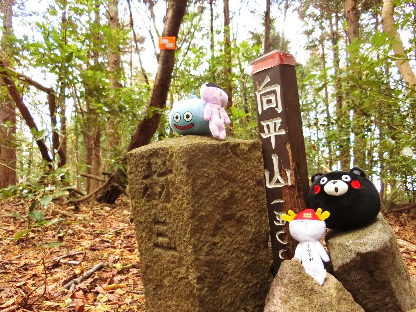 「向平山」 
ピークハント٩ (  ｰ̀֊ｰ́ )و