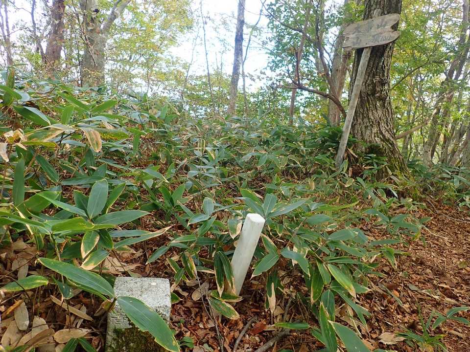 登頂＼(^o^)／
里山キングパート2のお山なので、誰かは居ると思いましたが、貸し切りでした(^^;