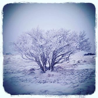 Dunkity（だんきち）