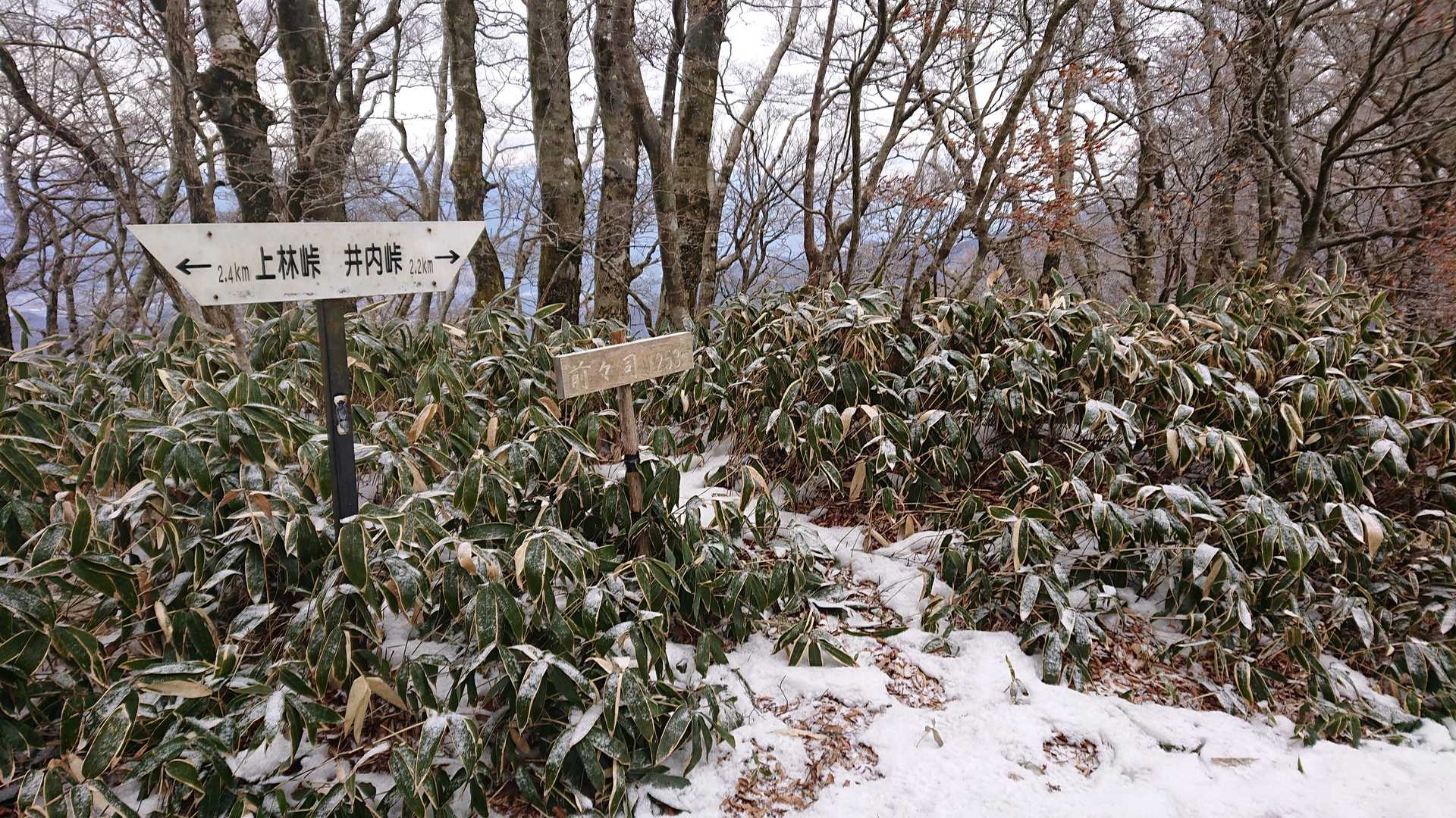 前々司〜
近々、善神尾根からここへ上がってみよう〜