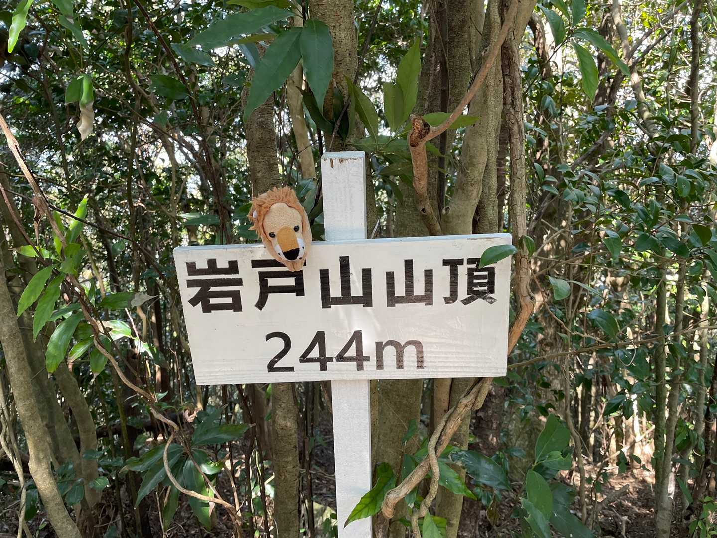 岩戸山244ｍ到着