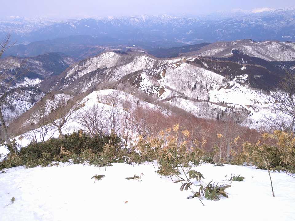 もうちょい晴れると思ったのにな
