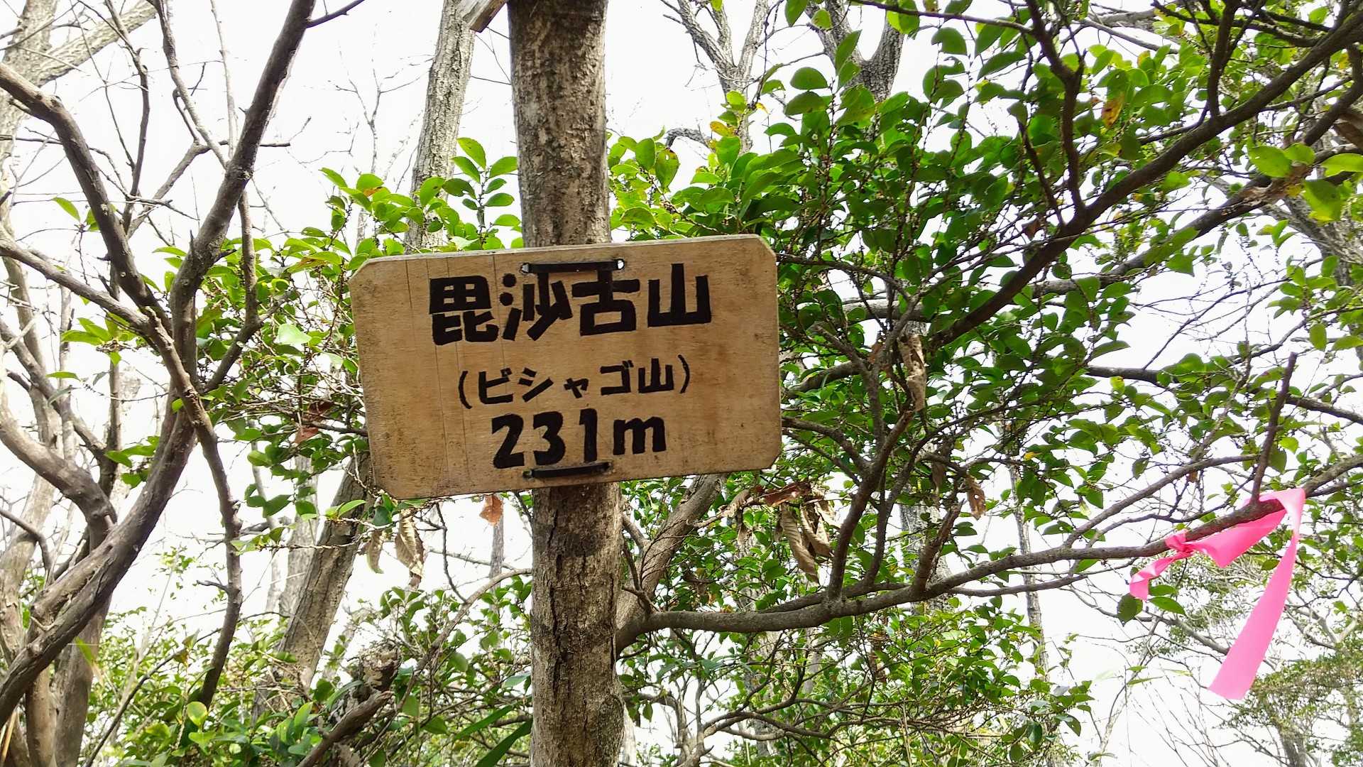 毘沙古山は山頂はちょっと狭く😅