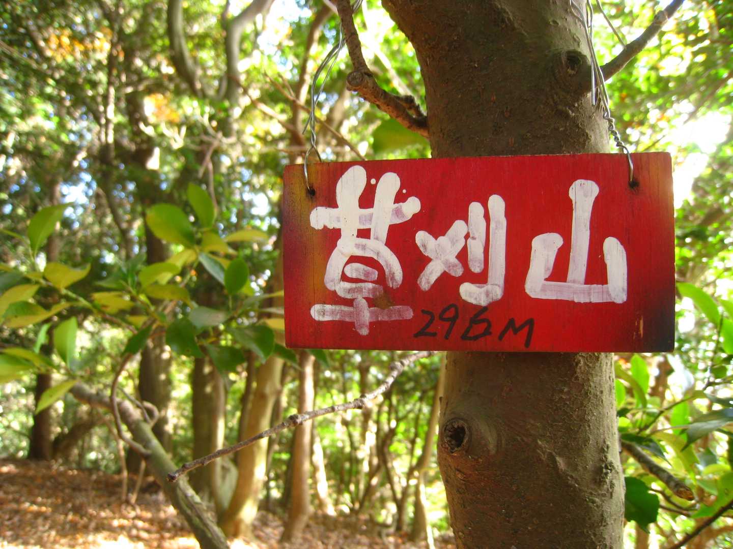 草刈山到着です。^o^
