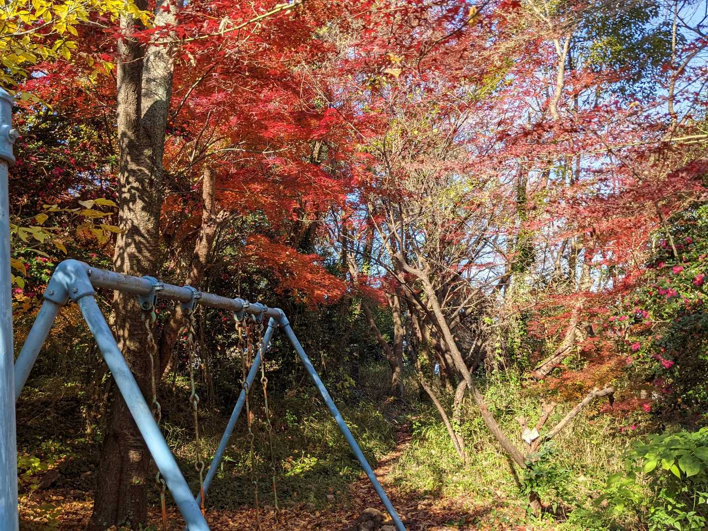 角山（香川県）の写真