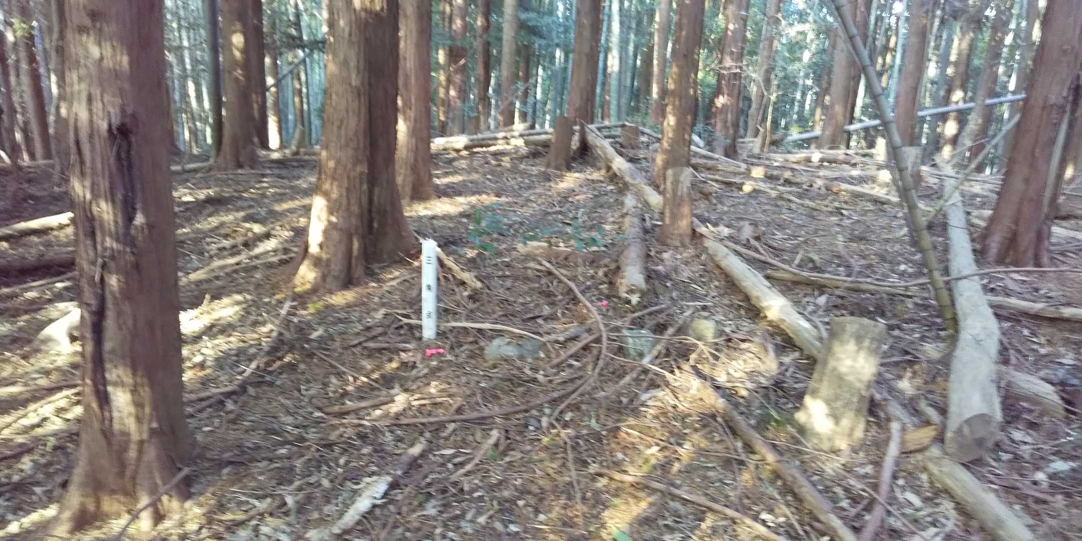 三角点発見‼️