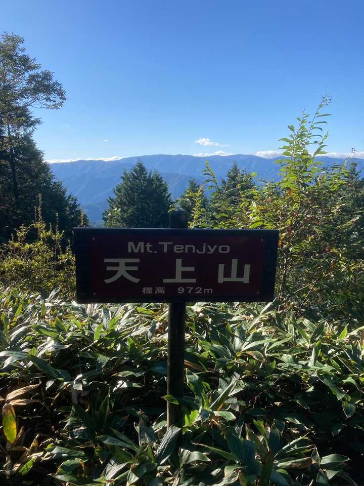 眺望なほぼ無し