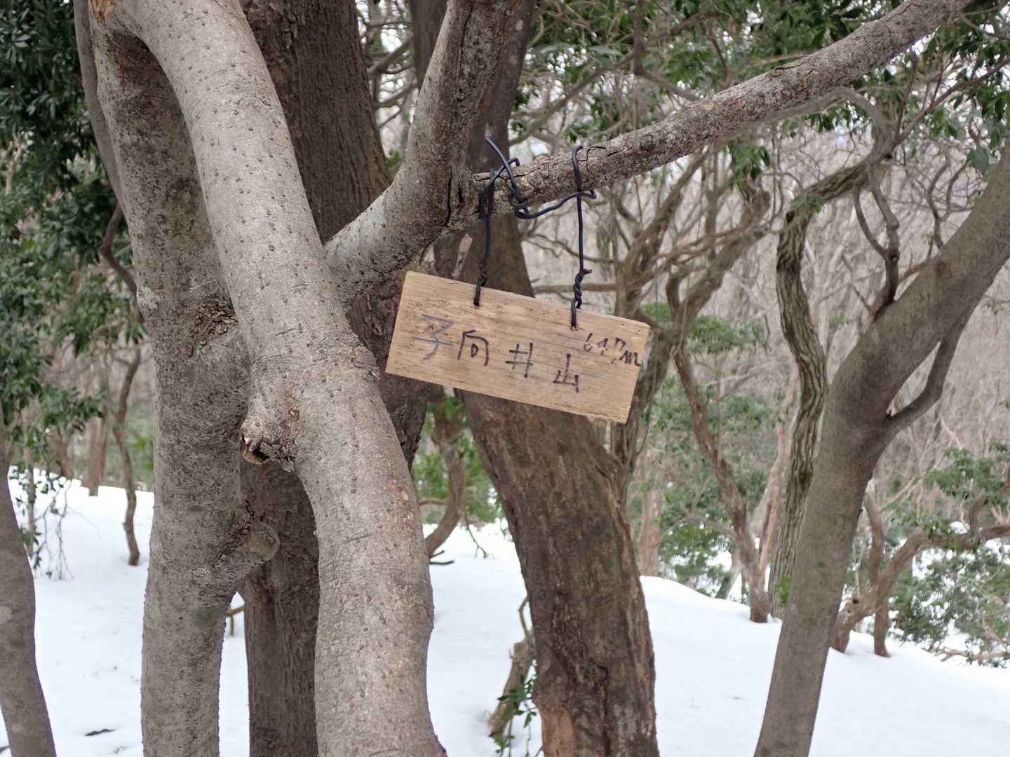 子向井山到着⛰